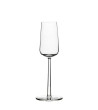 Essence Champagne Glasses from iittala. Design Alfredo Häberli.