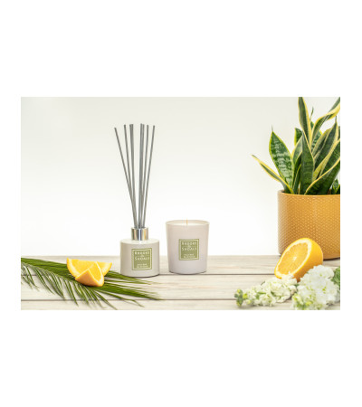 Fragrance Diffuser Brooke and Shoals