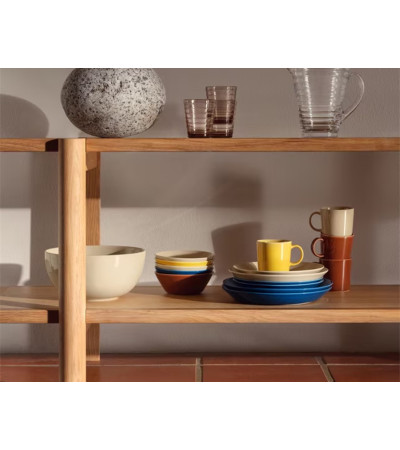 0.3l teema iittala mug