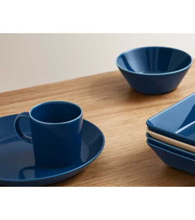 0.3l teema iittala mug