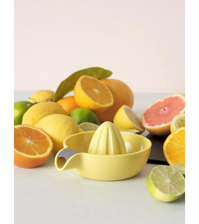 JUICY Citrus squeezer - Rig Tig