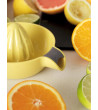 JUICY Citrus squeezer - Rig Tig